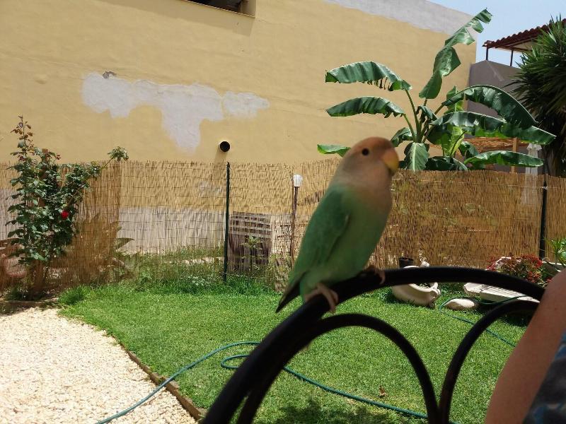 U' Iazzu Bed & Breakfast Avola Dış mekan fotoğraf