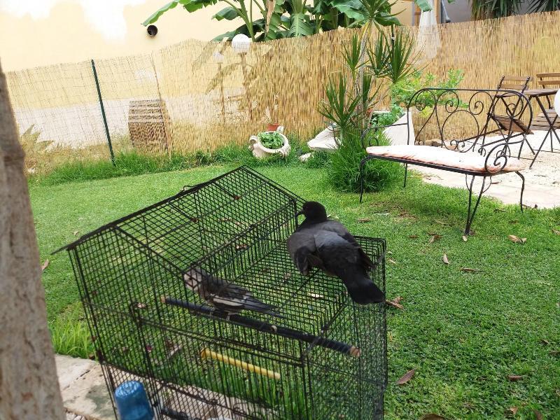 U' Iazzu Bed & Breakfast Avola Dış mekan fotoğraf