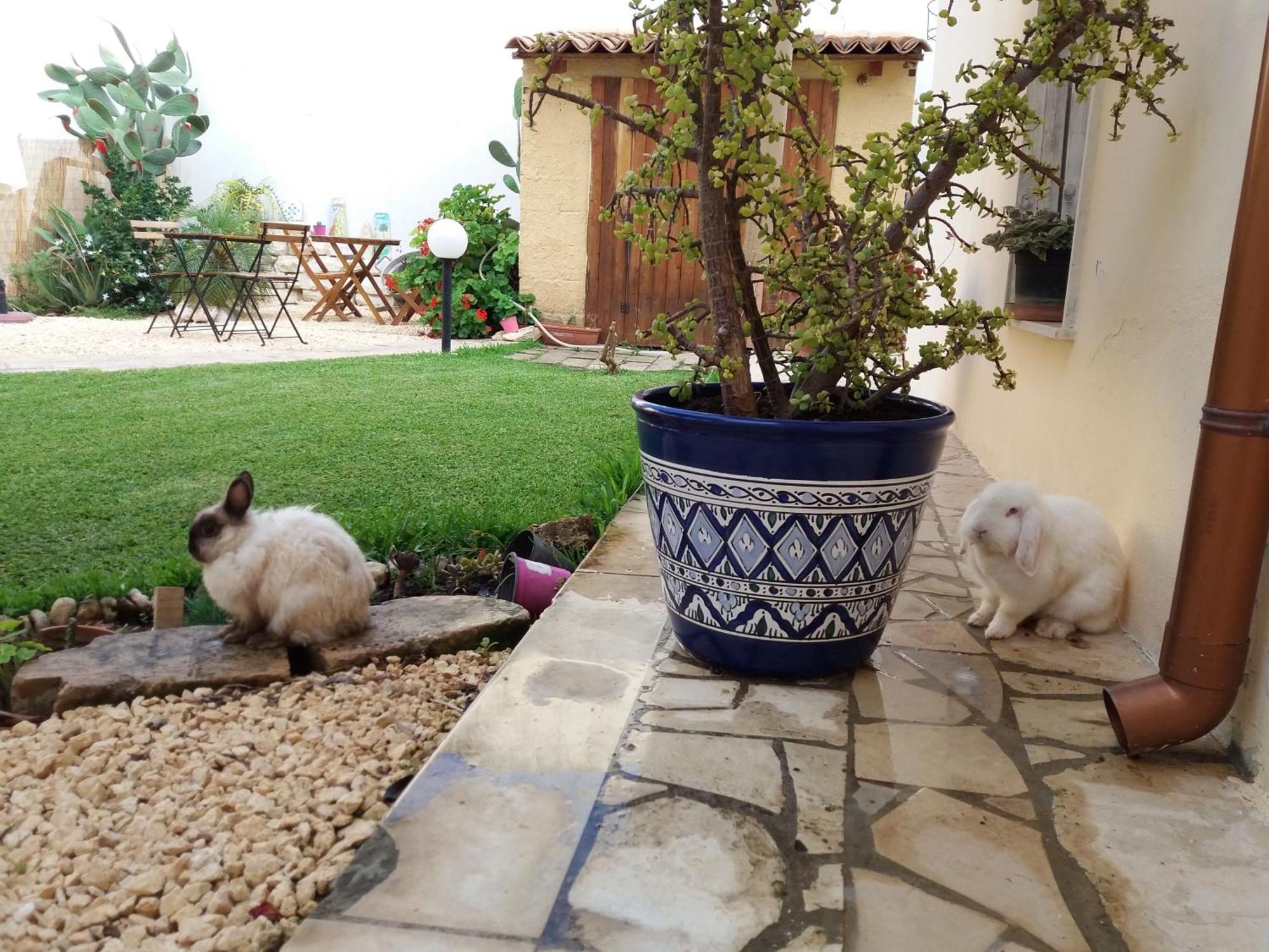 U' Iazzu Bed & Breakfast Avola Dış mekan fotoğraf